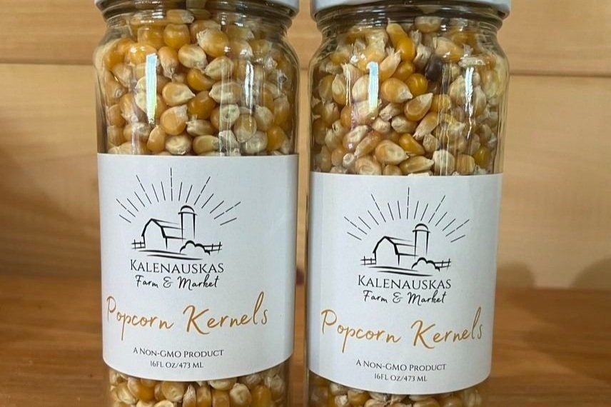 369789359_698870498931445_8477225418345378033_n Two jars of Kalenaukas Farm & Market popcorn kernels, showcasing non-GMO popcorn in a clear container. Each jar holds 16 fl oz (473 mL) of premium-quality kernels, ideal for making fresh popcorn at home.