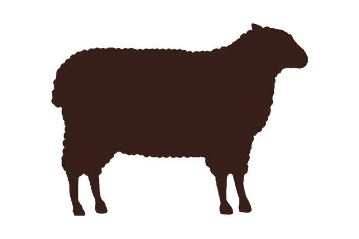 Lamb_1_Brown Silhouette of a sheep, showcasing its distinct woolly body and head profile, ideal for agricultural and livestock-related content.